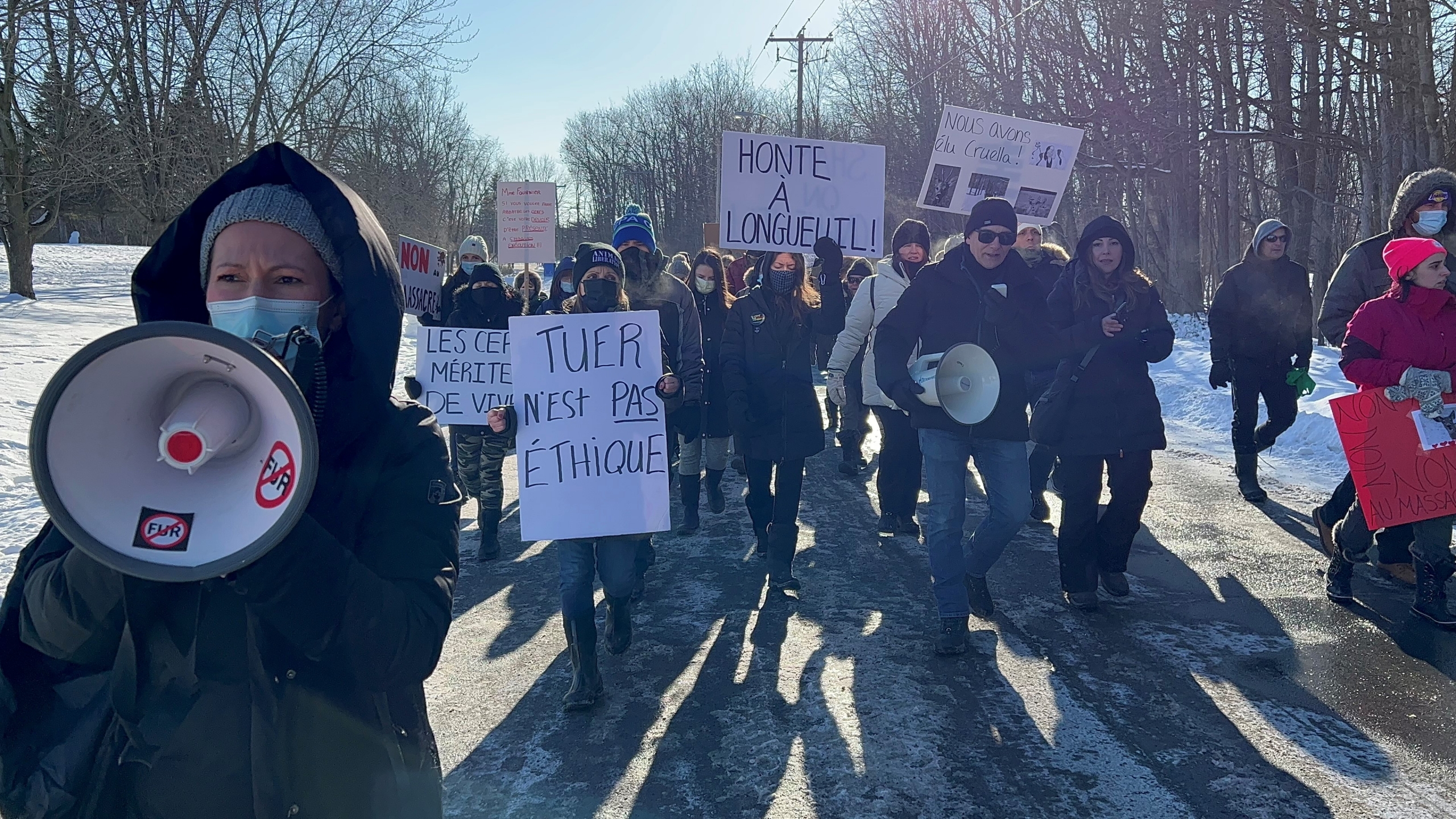 Abattage des cerfs : des opposants se font entendre à nouveau