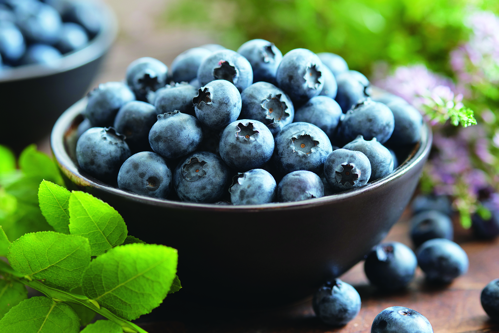 4 petits fruits d’ici à mettre au menu cette saison