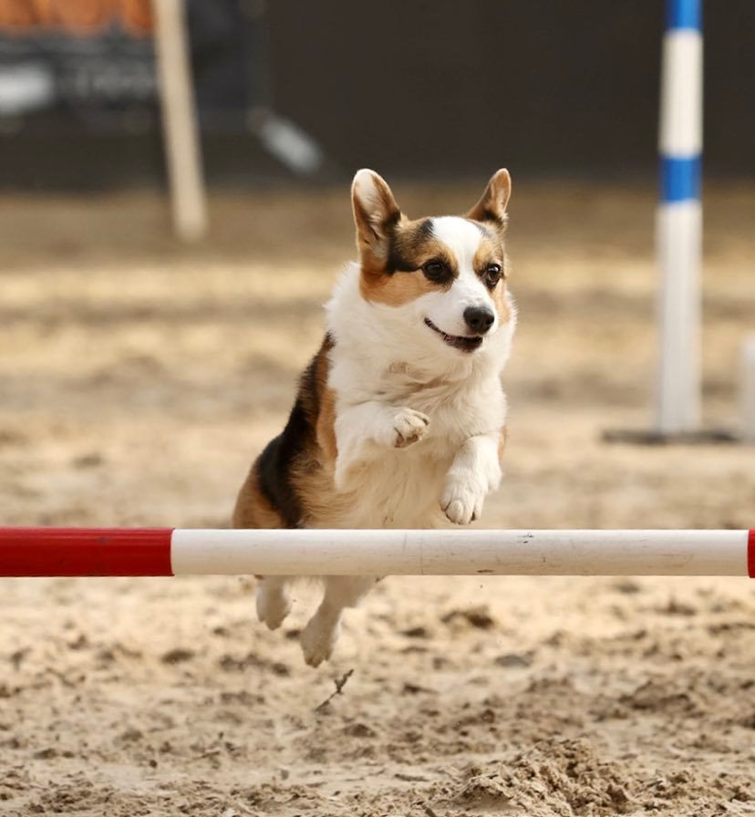 Milly l’athlète prend sa retraite internationale