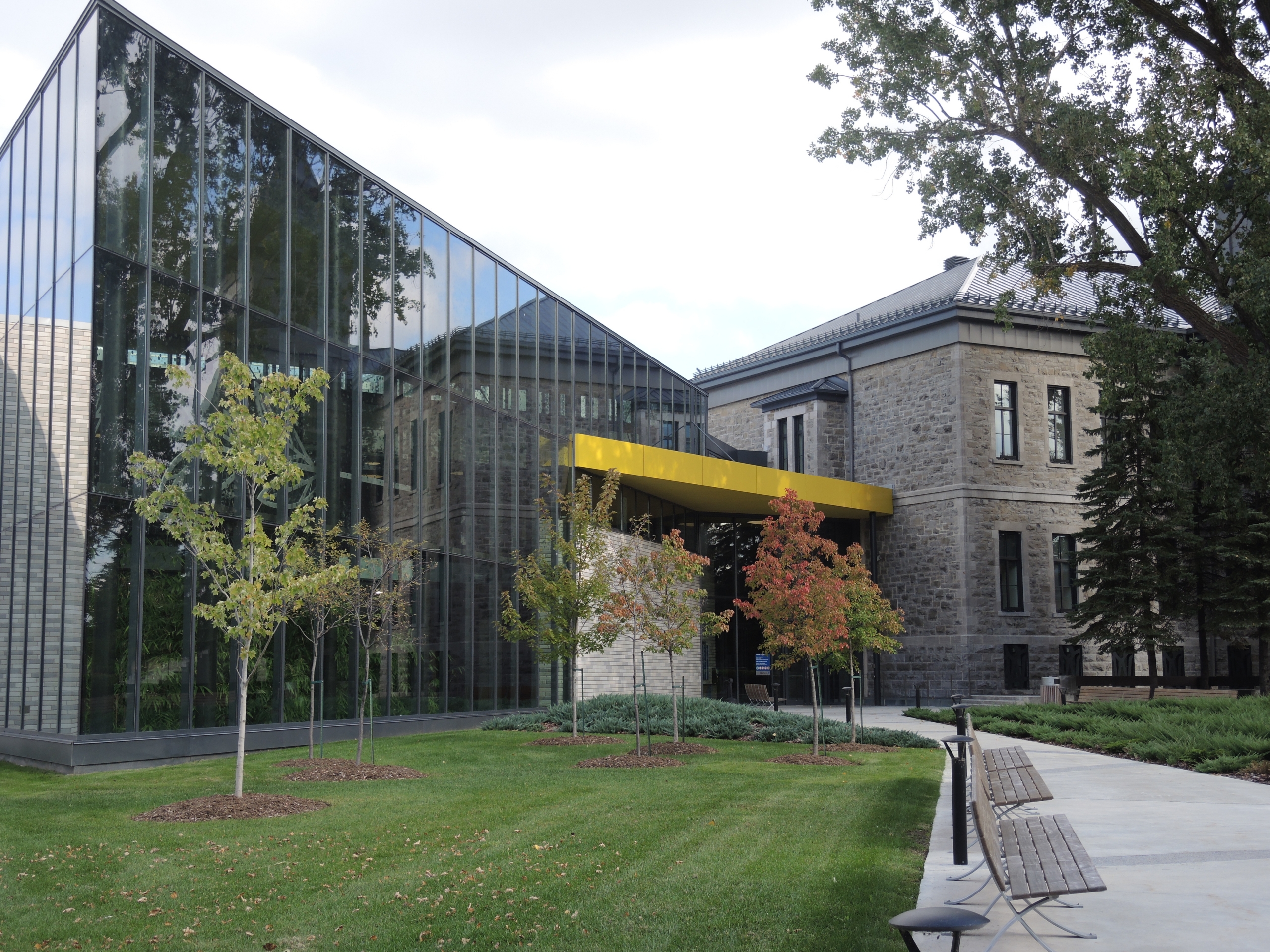 Tribunal spécialisé en violence conjugale et sexuelle : une grosse machine à mettre en place