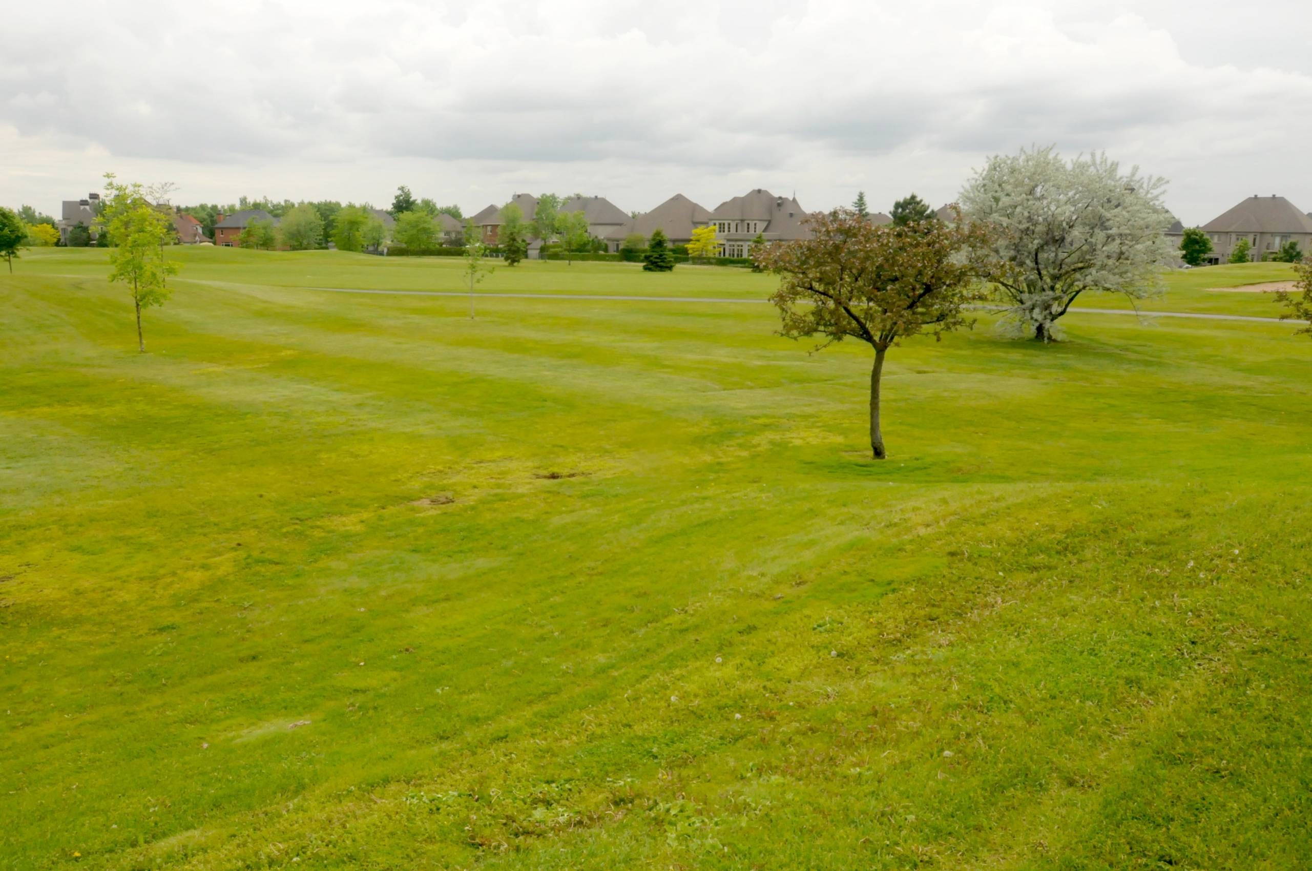 Moins de pesticides sur les golfs