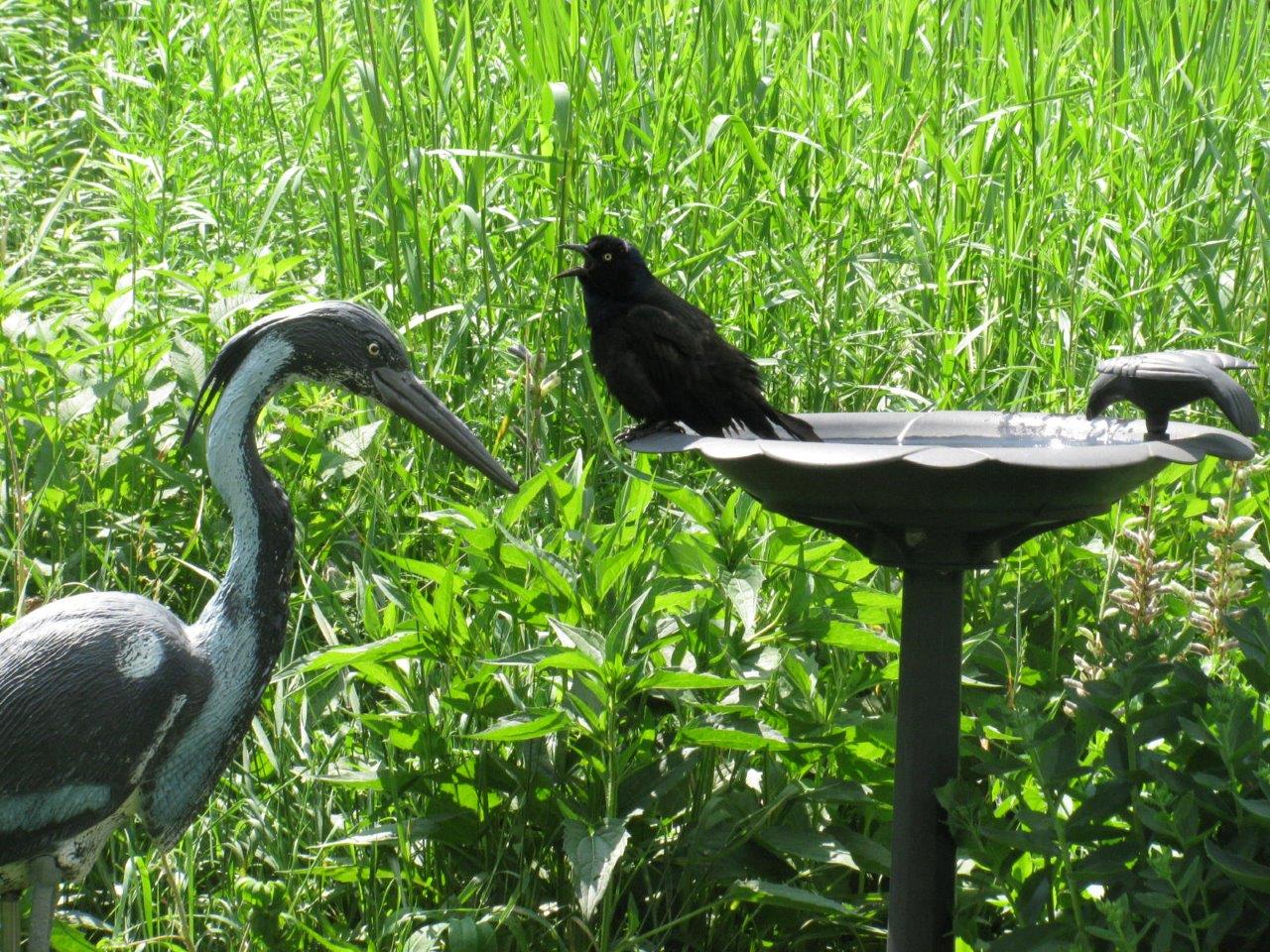 Photo de la semaine: Pas de place !