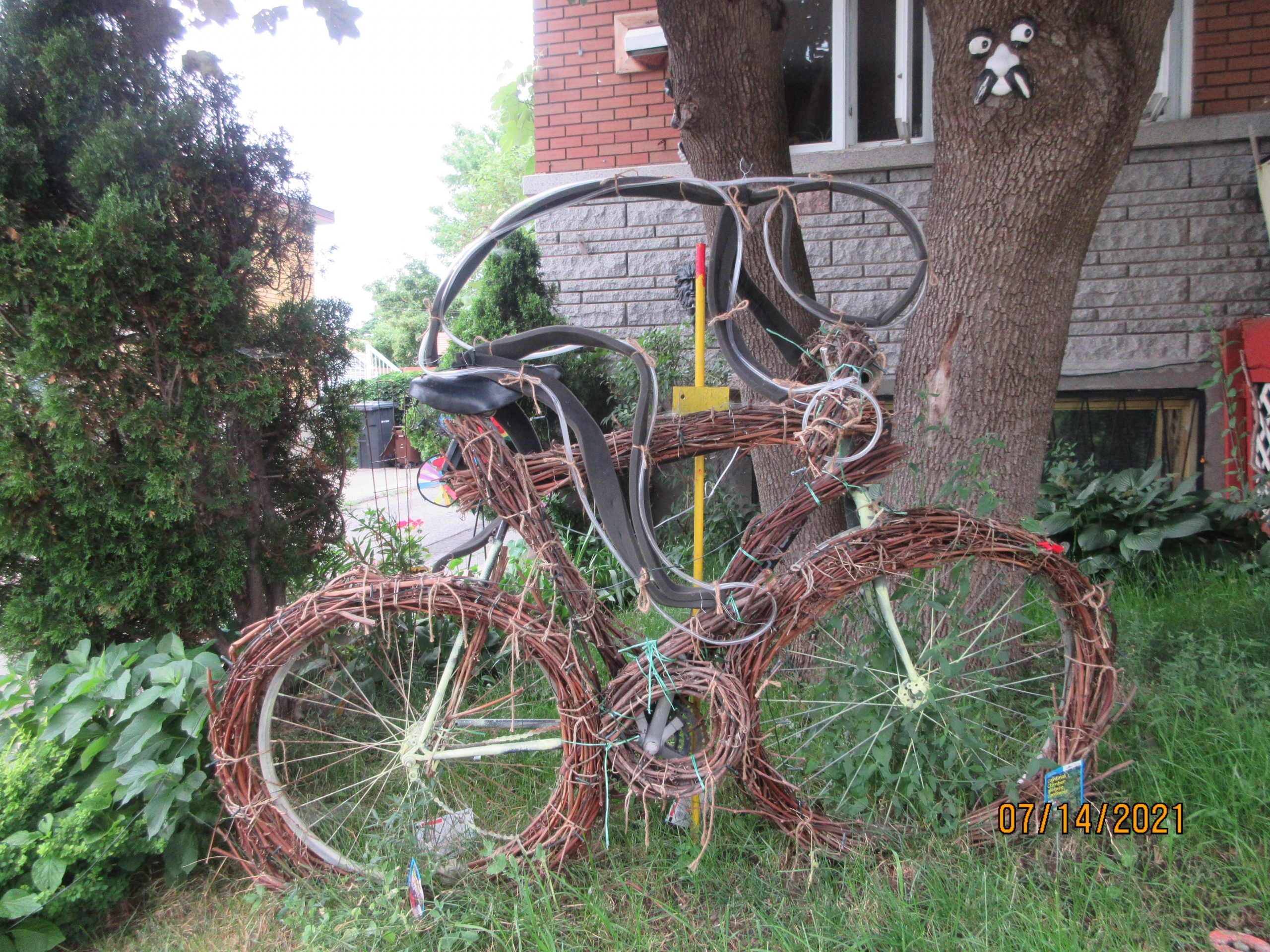 Photo de la semaine: vélo végétal