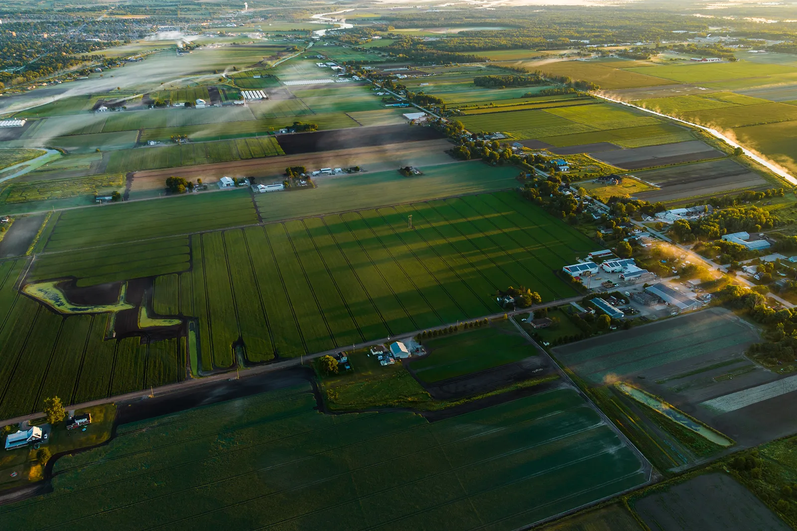 aerial view of farmlands