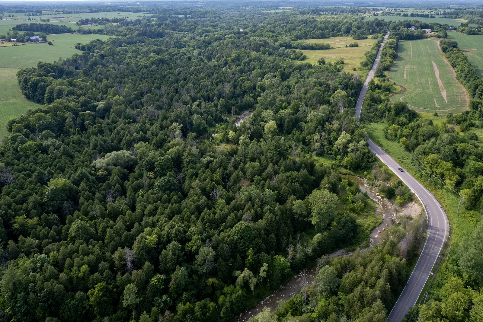 aerial view of road winding beside forest