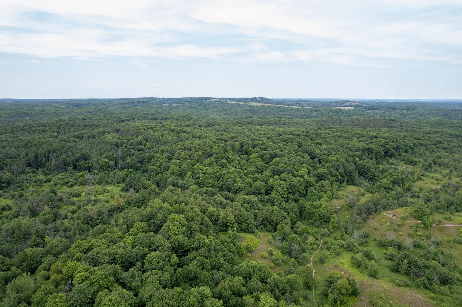 aerial view of forest