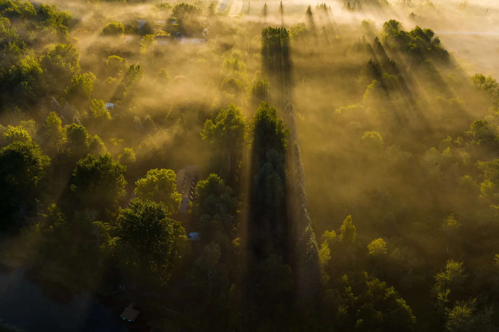 aerial view of forest and farm