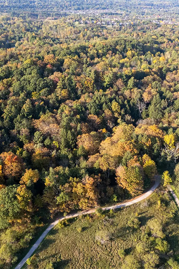 aerial view of greenbelt forest