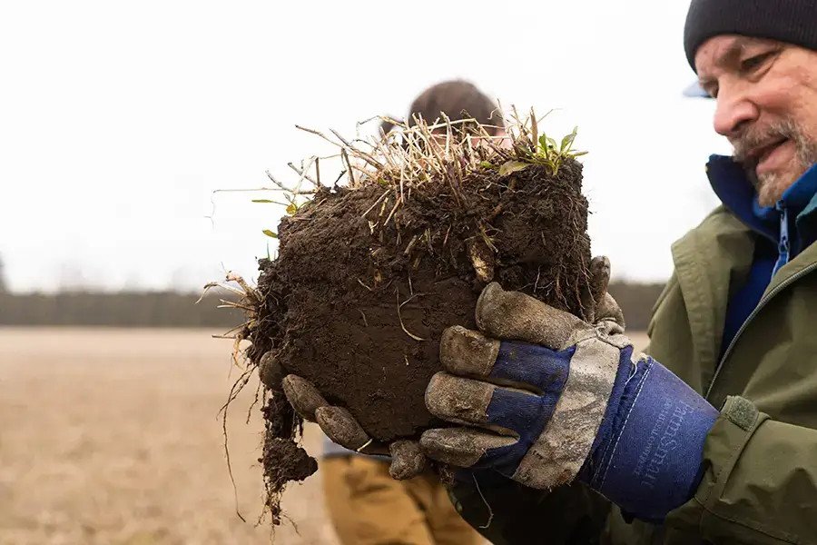 greenbelt soil