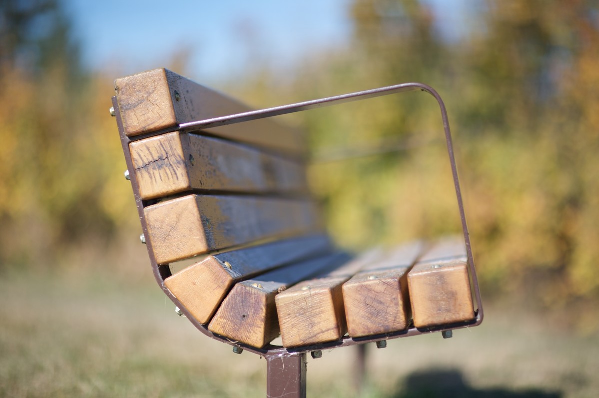 Bench with back