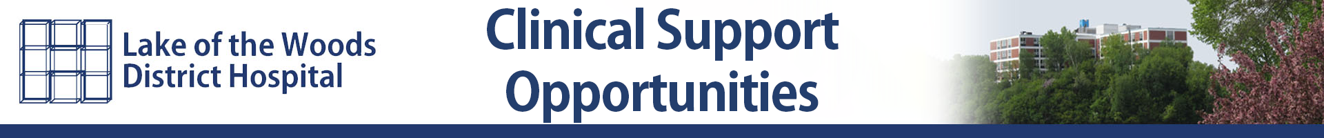 Lake of the Woods District Hospital - Clinical Support Opportunities header background