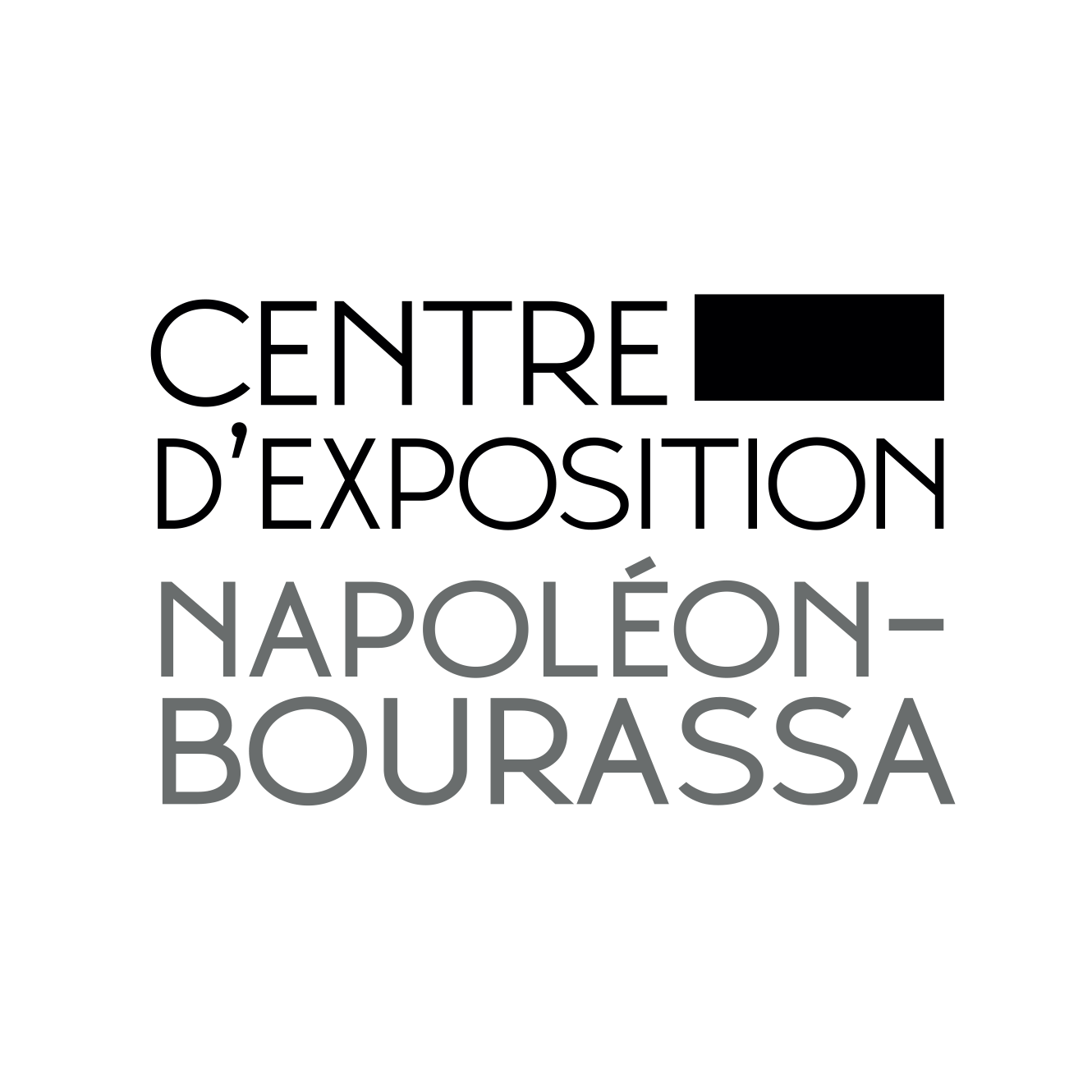 Centre d'exposition Napoléon-Bourassa /Centre d'action culturelle de la MRC de Papineau
