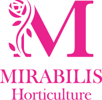 Mirabilis Horticulture Inc