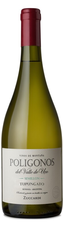 Poligonos Tupungato Semillon 2019