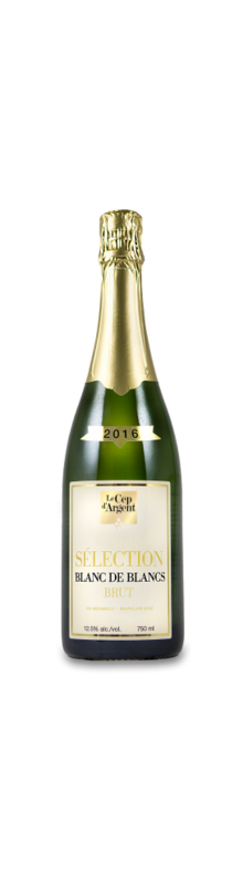 Sélection blanc de blancs 2015