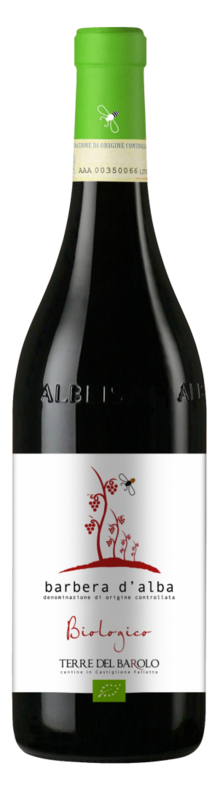 Organic Barbera d'Alba 2016