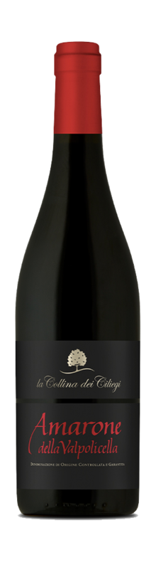 Amarone della Valpolicella 2017