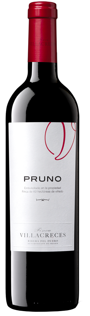 Pruno 2017