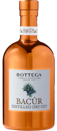 Bacûr Gin 