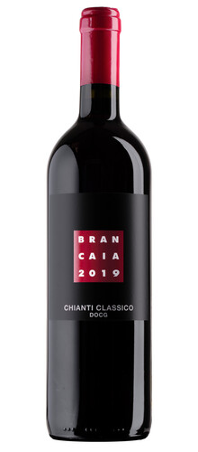 Chianti Classico  2019