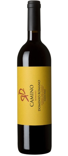 Camino 2018
