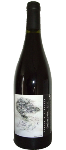 Capharnaüm 2017