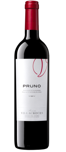 Pruno 2020