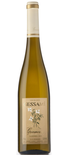 Gessami 2021