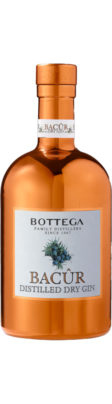 Bacûr Gin