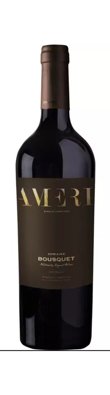 Ameri 2017