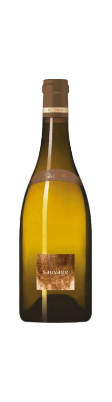 Sancerre Sauvage Blanc 2019