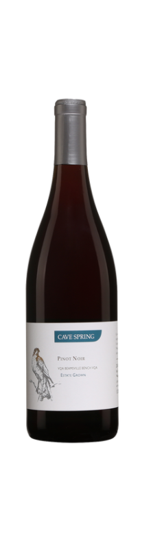 Pinot Noir Estate VQA Beamsville Bench 2019