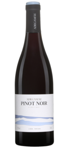 Pinot Noir 2019