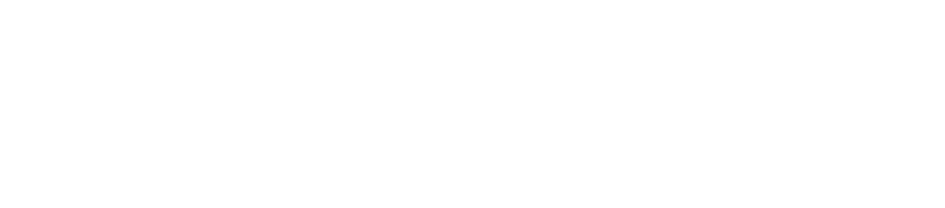 Blank white horizontal banner with thin light gray border at the top and bottom