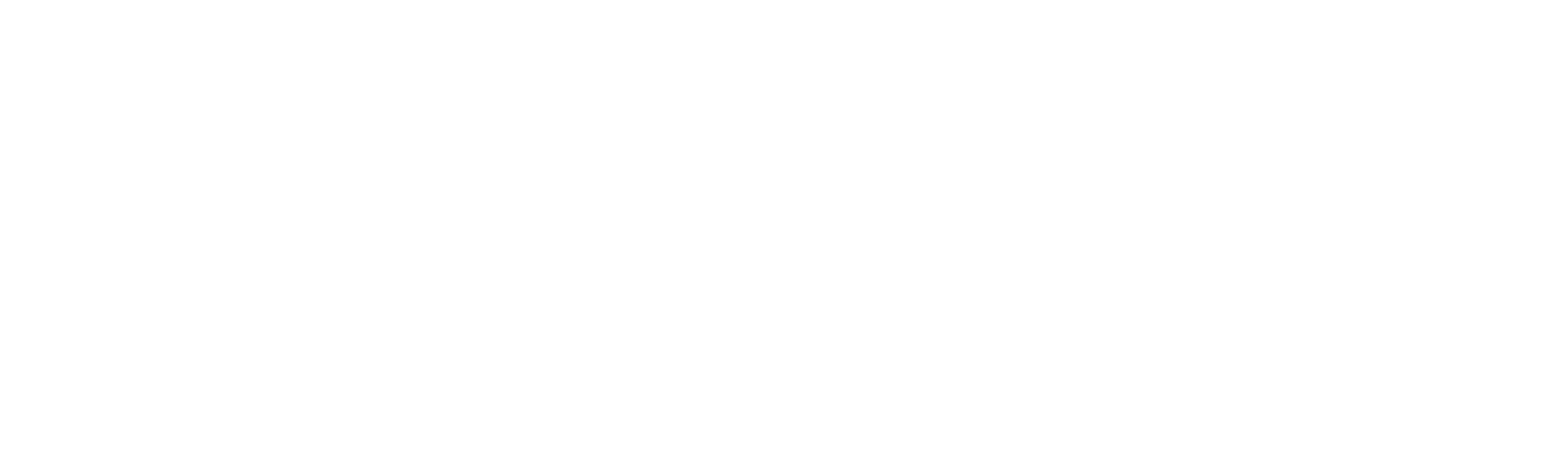 Hospiti