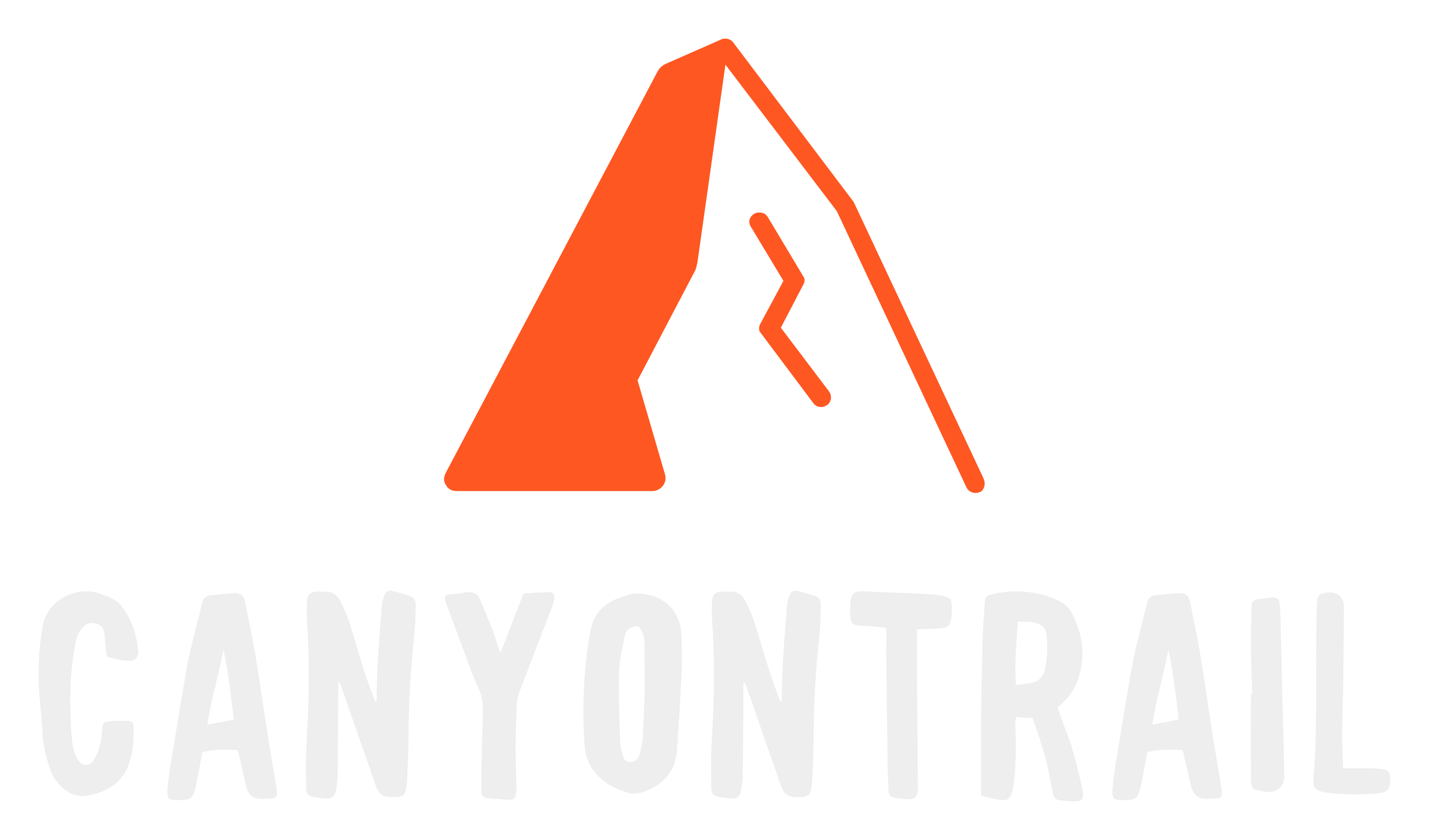 A canyon trail logo with an orange triangle on a white background.
