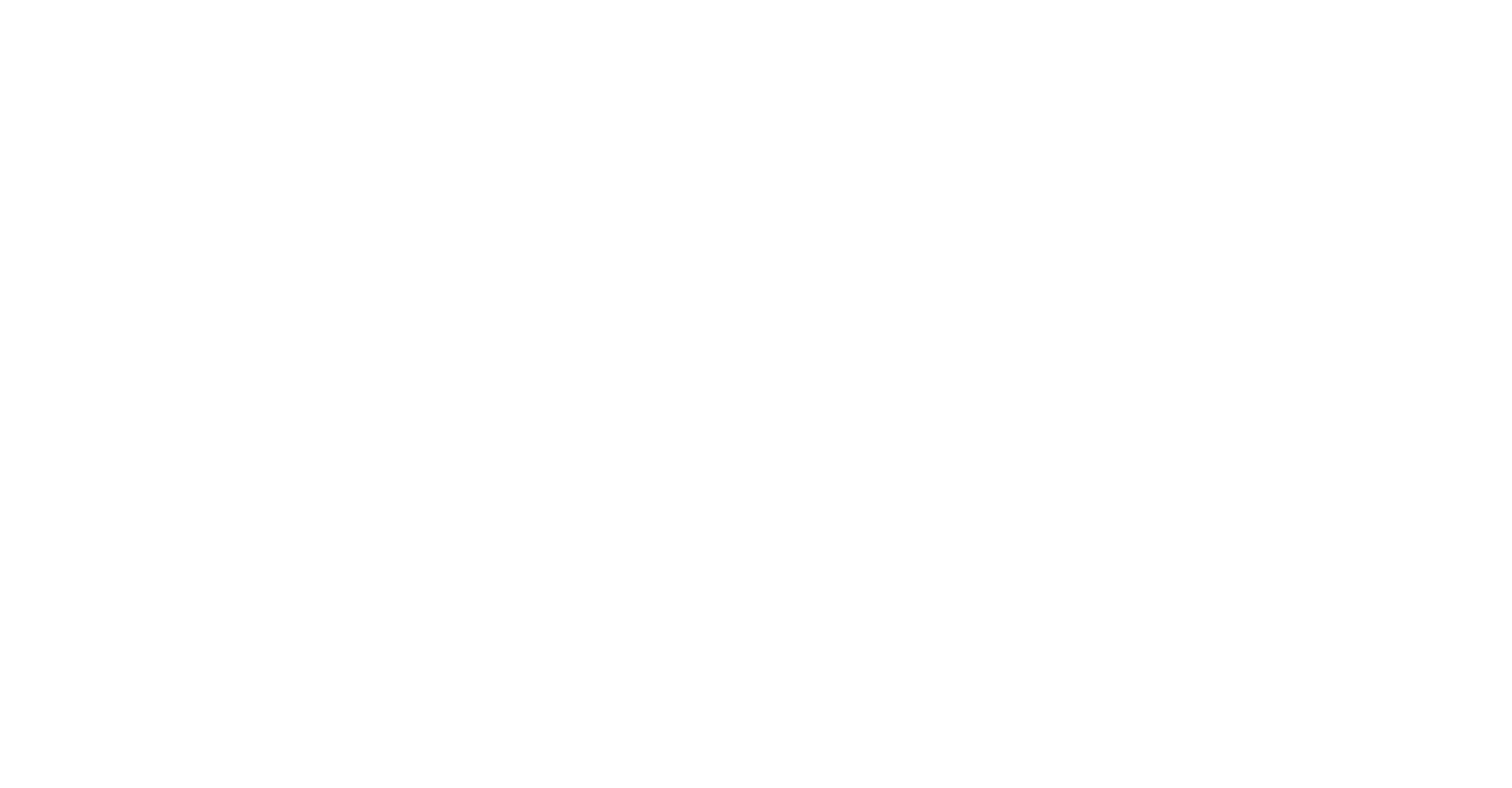 FIXER AND FUTURE