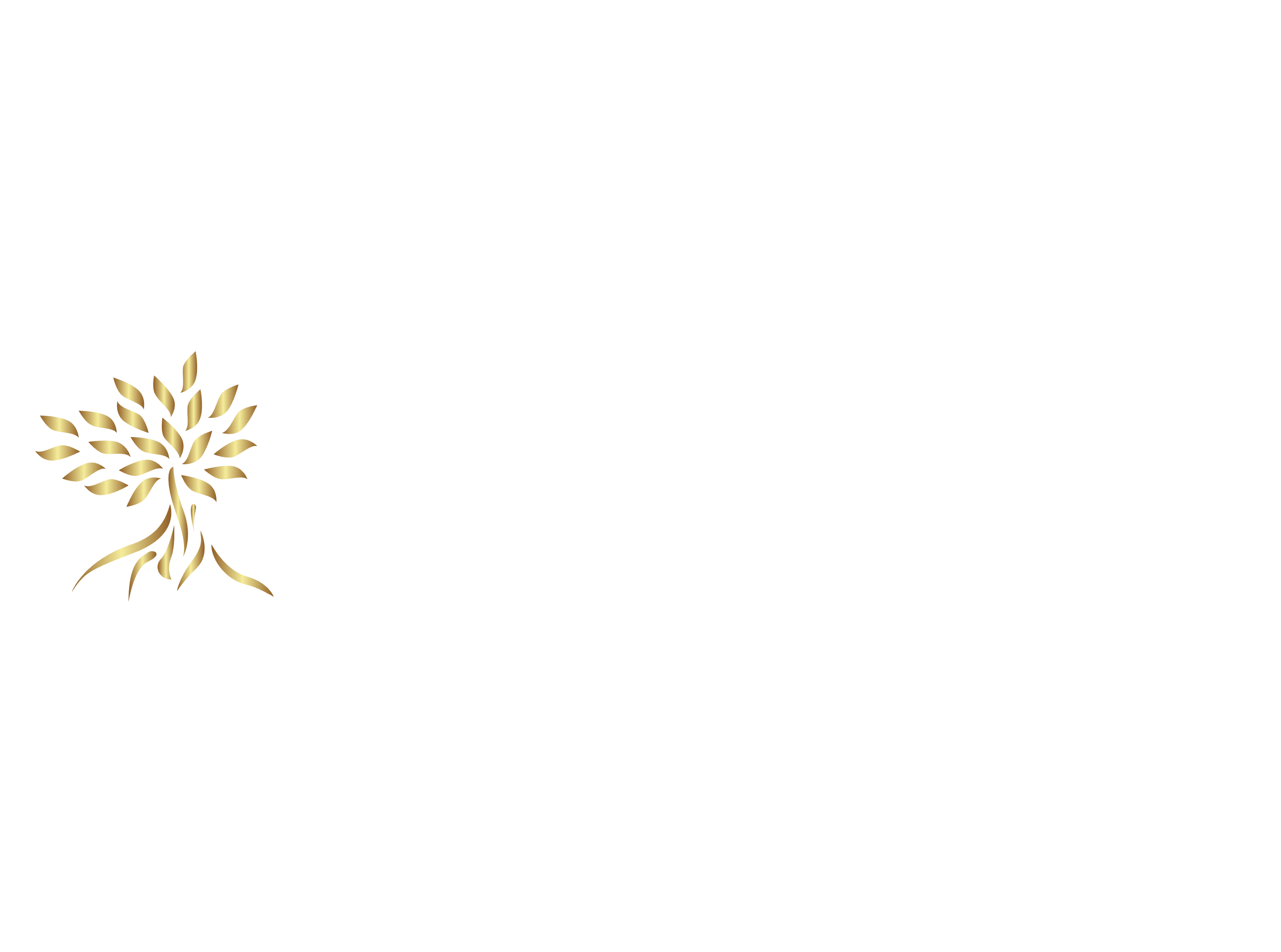 Golden tree illustration. Logo of Cedarstone Accountants and Tax specialists.