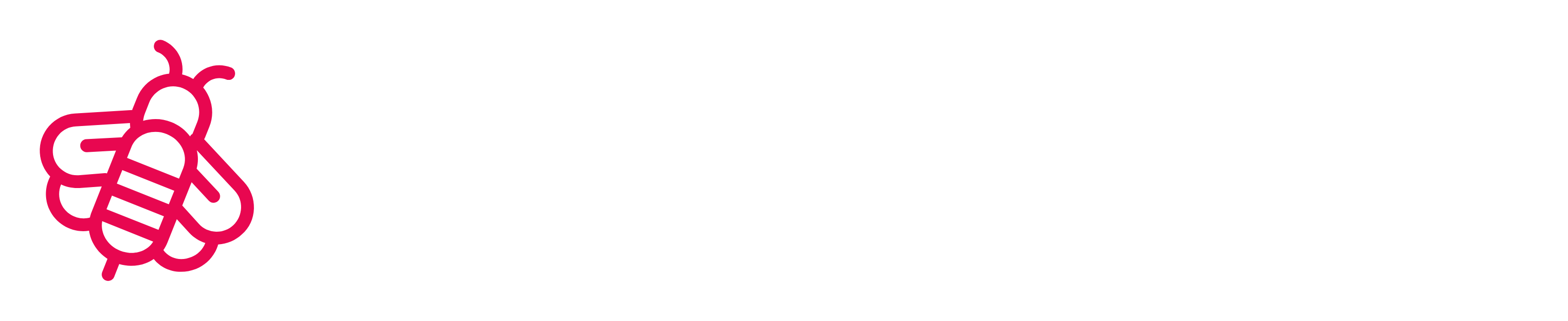 Pink illustrated bee on white background.