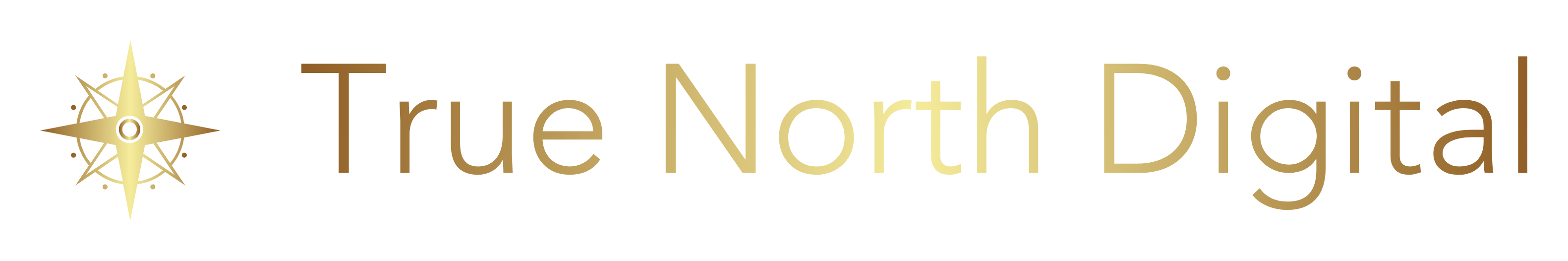 Logo for True North Digital featuring a compass rose icon and the company name in a gradient font.