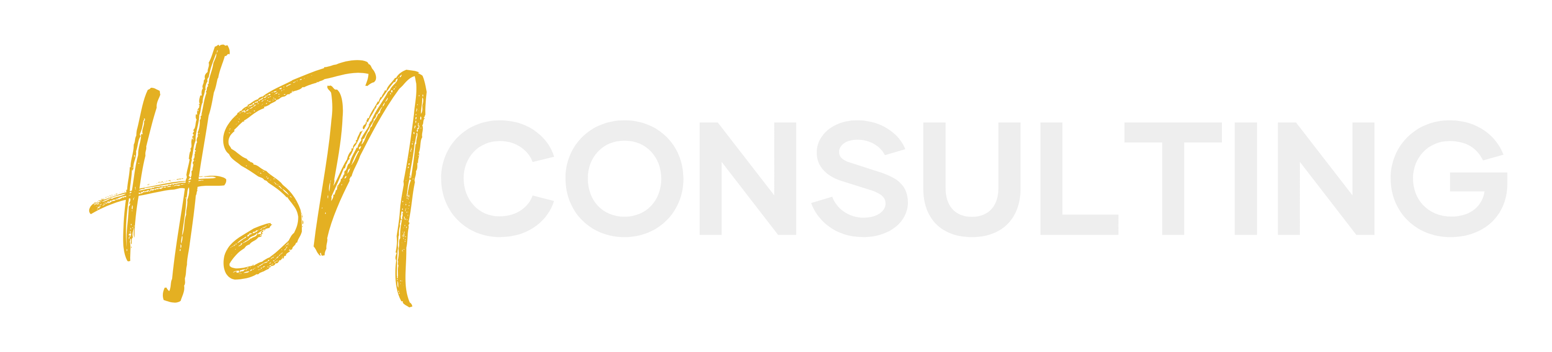 Logo for HSN Consulting: gold cursive initials, 