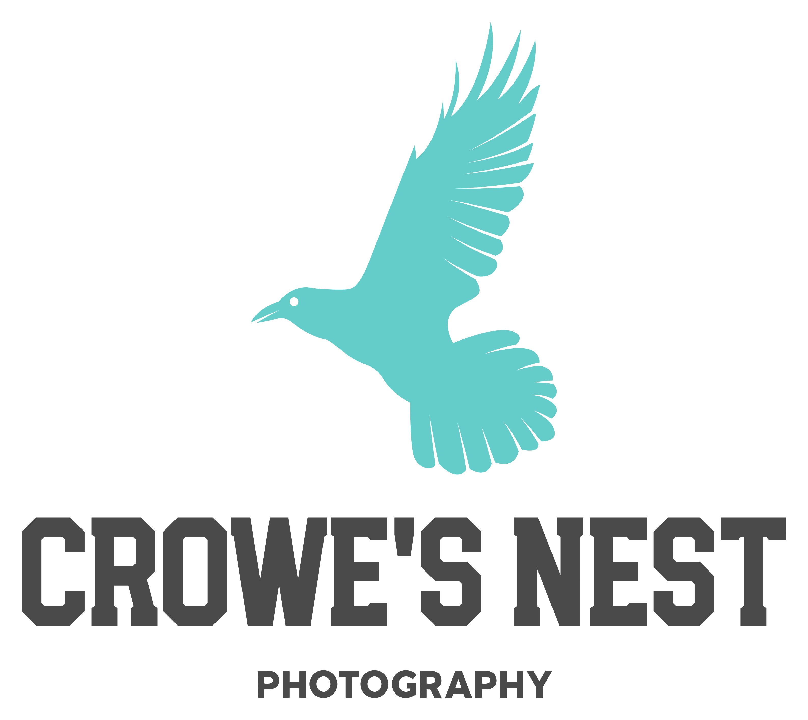 Teal crow in flight above the words 