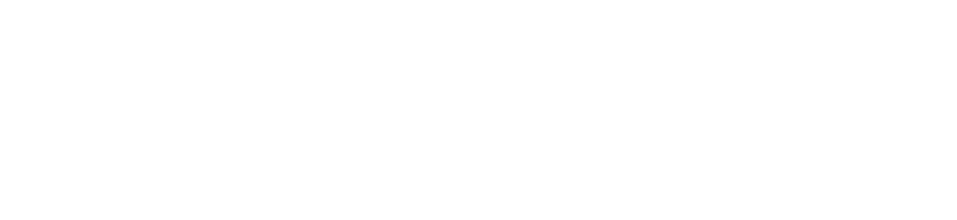 A blank, white canvas.