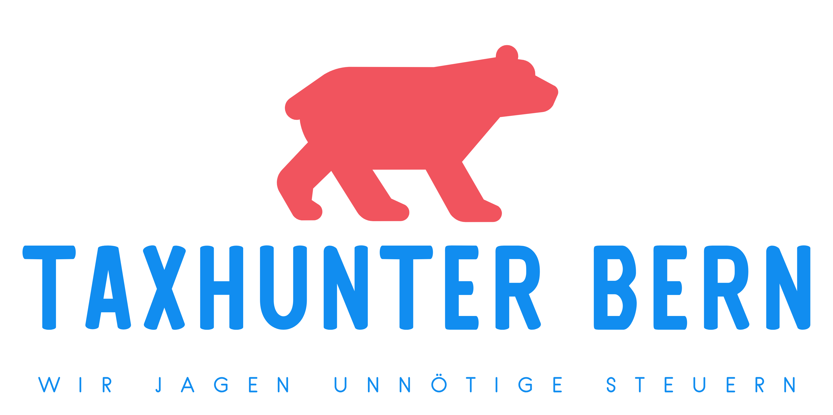 Taxhunter Bern