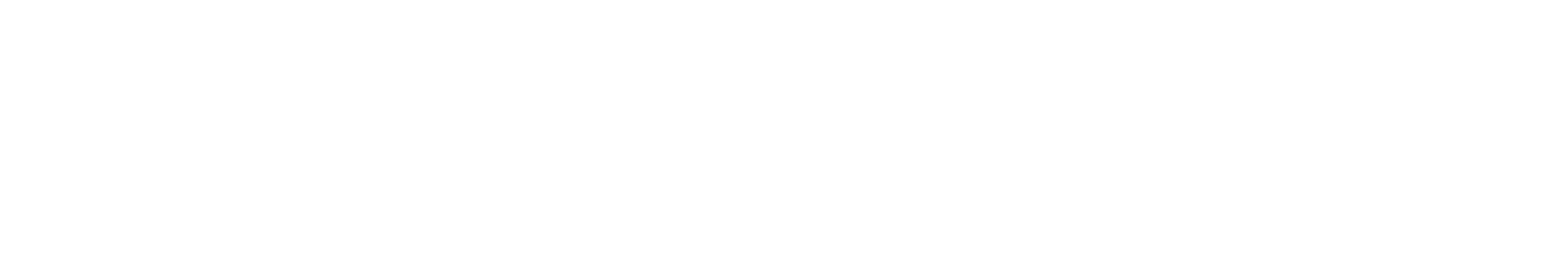 Mimirioin logo
