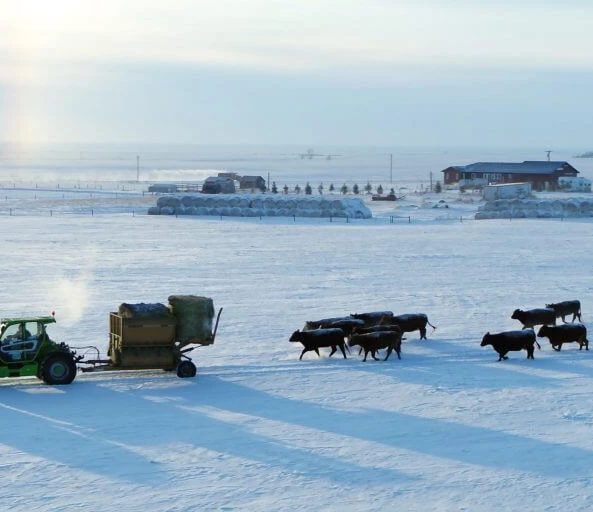 CM Ranching TF409 02 1024x512