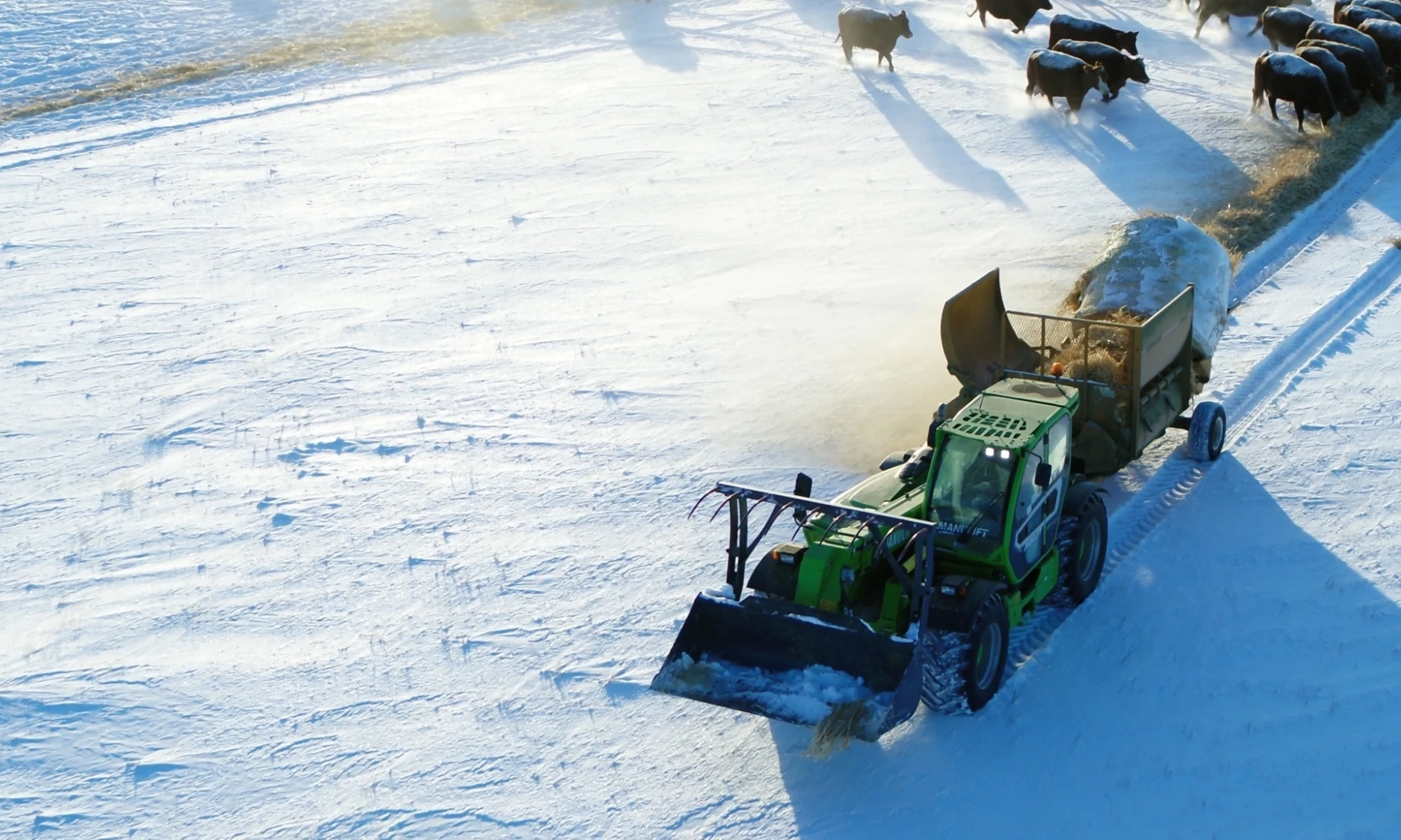 MF409 CM STILL 4 K 01