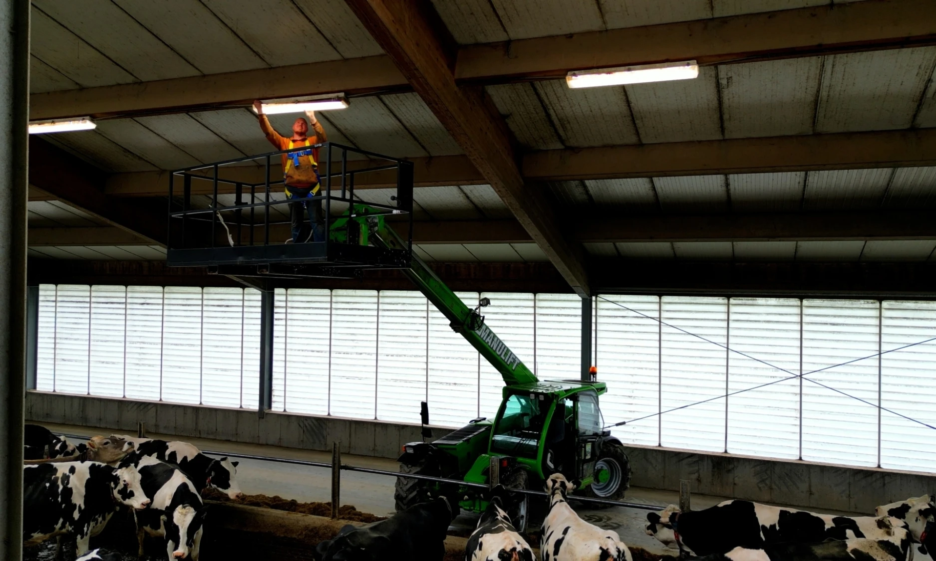 3 LOOS TRACTORVSMERLO MBASKET D STILL 01