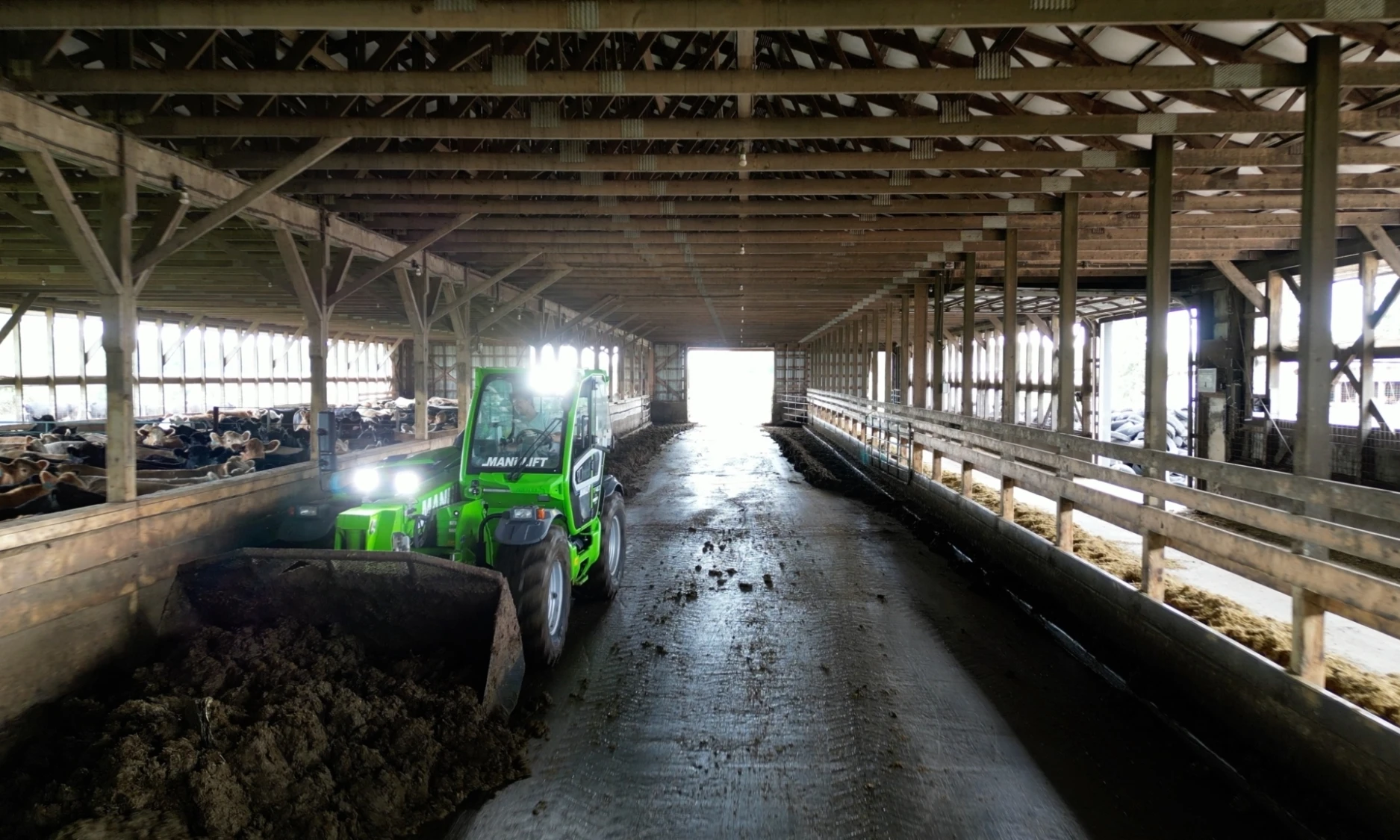 DJEFF 427 STILL BARNCLEANING 4k 01