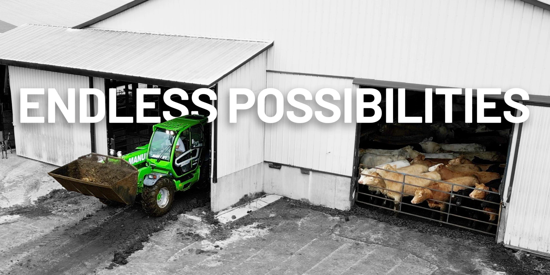 TMP Header Secondaire 2094x1046 Bovine EN